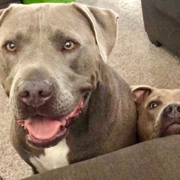 Meet your Posher, Jackie - Picture 1 of 1